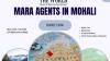 What Are the Benefits of Working With MARA Agents in Mohali?