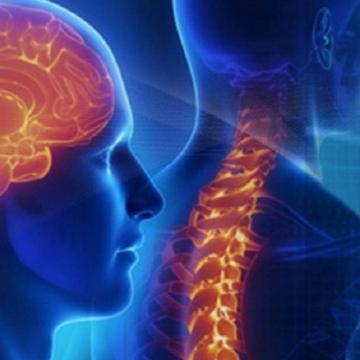 Expert Neurologist in Zirakpur | Dr. Rajnish Kumar | Excel Medi Clinics