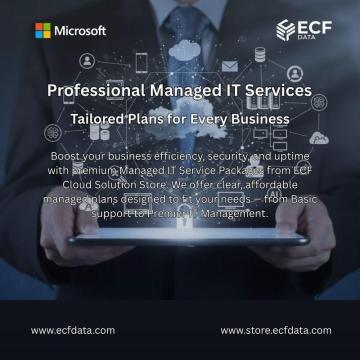 Professional Managed IT Services – Tailored Plans for Every Business