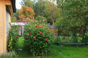 Build Your Dream Acreage Home in Adelaide