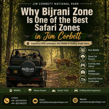 Jungle Safari In Jim Corbett | Bijrani Jungle Cottages