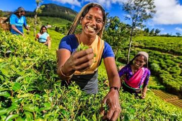 Small Group Tours to India | Curated Cultural & Adventure Journeys