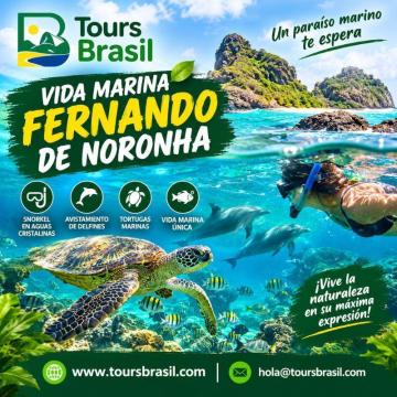 Descubre la increíble Vida marina Fernando de Noronha, uno de los