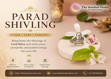 Buy Original Parad Shivling Online at The Stardust Studio