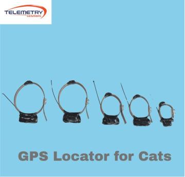 How to Choose the Right GPS Collar for Cats Easily?