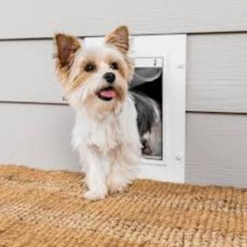 Reliable Pet Door Sales and Installation Sacramento | Pet Independence