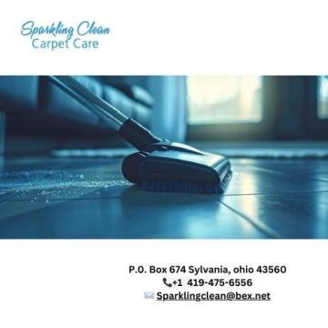 Professional Carpet Cleaning Toledo Ohio | Water Damage Toledo Ohio Services