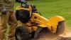 Hassle-Free Stump Grinding for Homes & Businesses