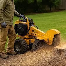 Hassle-Free Stump Grinding for Homes & Businesses