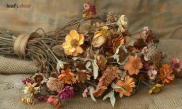 Premium Dried Flowers Wholesale by Leafndeor