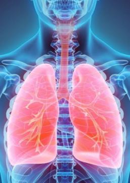 Best Gynecologist Obstetricians in Karimnagar