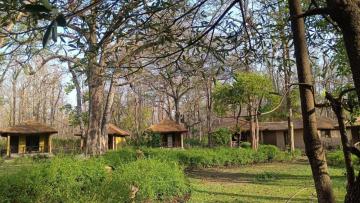 Jungle Safari In Jim Corbett | Bijrani Safari Stay
