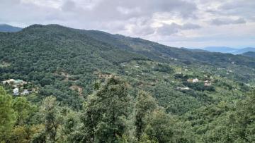 Luxury Villas In Mukteshwar For Rent | HyggeLivings