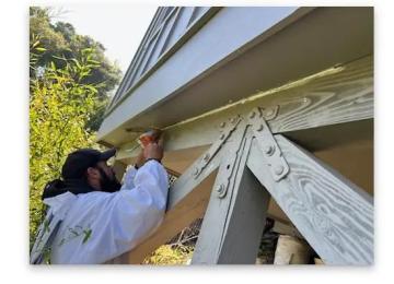 Henrys Bees Removal Service