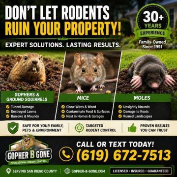 San Diego Gopher & Rodent Control – Safe, Effective, Local