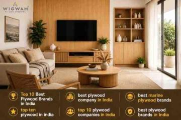 Best Plywood Brands in India: Top 10 Companies | Wigwam Ply