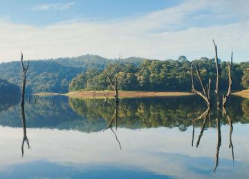 A Practical Look at KeralaCouple Tour Ideas I Found