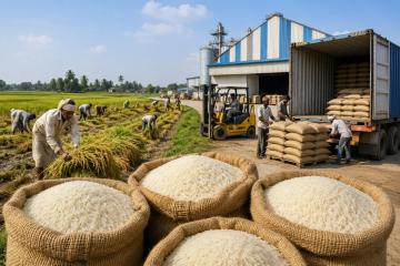 Top India Basmati Rice Exporters