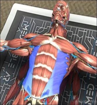 Augmented Reality Human Body for Interactive Anatomy Learning