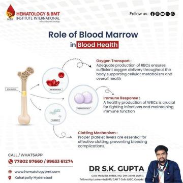 Telehealth for Bone Marrow Transplant Patients – Expert Care from Anywhere