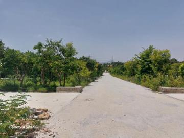 Premium Farm Units for Sale Near Ghati Subramanya Road – Doddaballapura