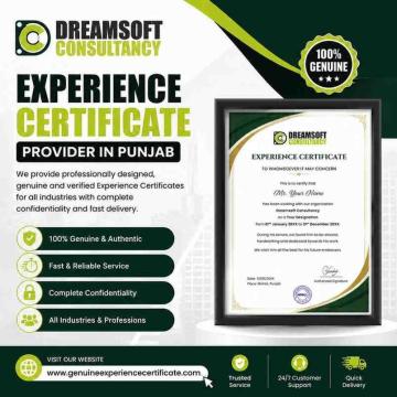 Experience Certificate Solutions in Punjab