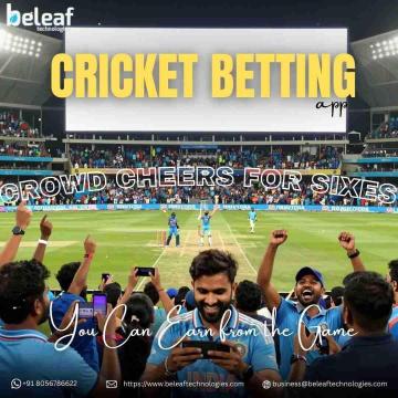 While the Crowd Cheers for Sixes, You Can Earn from the Game