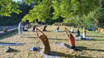 Professional Teaching Yoga in Rotterdam | Indian Classical Yoga