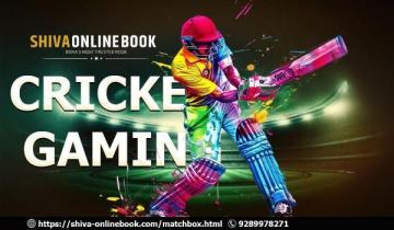 Matchbox9: Trusted Sports Exchange Offering Smooth Access and 24/7 Online Services.