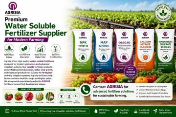 Potassium Nitrate Supplier | Premium Potassium Fertilizer for Agriculture