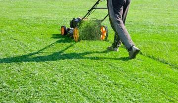 Lawn fertilization services Williamsburg, VA