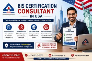 How can a BIS consultants in USA simplify BIS approval?