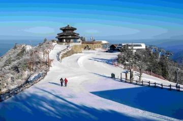 Himachal Tour Packages Covering Shimla, Manali and Kasol