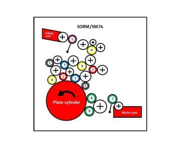 RBS Rollers – Commercial SM74 Rollers Supplier