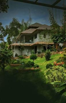 Experience the Finest 5 Star Resorts in Thekkady – Where Luxury Meets Nature
