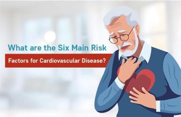 What are the Six Main Risk Factors for Cardiovascular Disease?