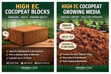 High EC Cocopeat Blocks for Sale – Bulk Supply from India