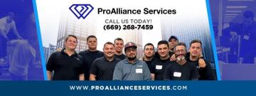Pro Alliance Services LLC