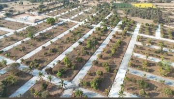 Premium Farm Units for Sale Near Ghati Subramanya Road – Doddaballapura