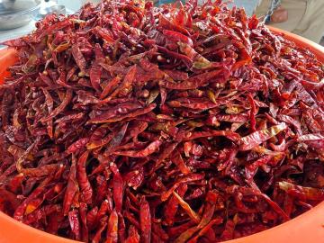Sunanda Foods & Spices - Premium Spices Manufacturer & Suppliers