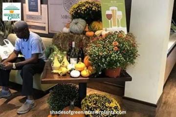 Professional Holiday Lighting & Indoor Décor Services for Businesses