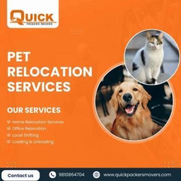 Safe Pet Relocation Services – Quick Packers Movers