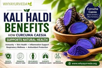 Kali Haldi Benefits: How Curcuma Caesia Supports Natural Health