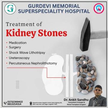 Best Doctor for Kidney Stones and Kidney Health