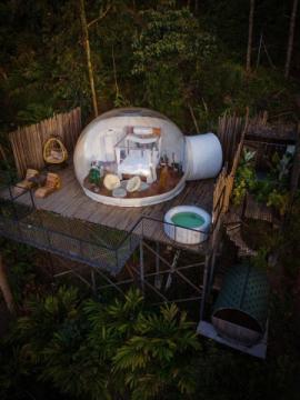 Best Resorts in Munnar | Top Resorts in Munnar