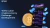 Harness the Power of the Best White Label Cryptocurrency Exchange