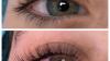 Lash Extensions Training Pembroke Pines