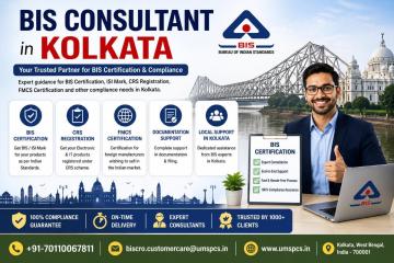 What services do BIS consultants in Delhi provide?