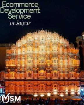 Ecommerce Development Services in Jaipur