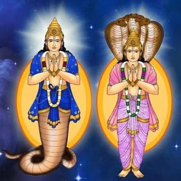 Rahu Ketu Dosha Pariharam Temple Tour Package - Book Now